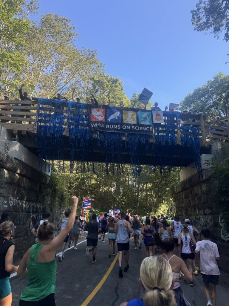 Runners in the Falmouth Road Race pass under a bridge decorated with blue streamers and a sign that reads, WHO RUNS ON SCIENCE? as people cheer from above on a sunny day, surrounded by trees.