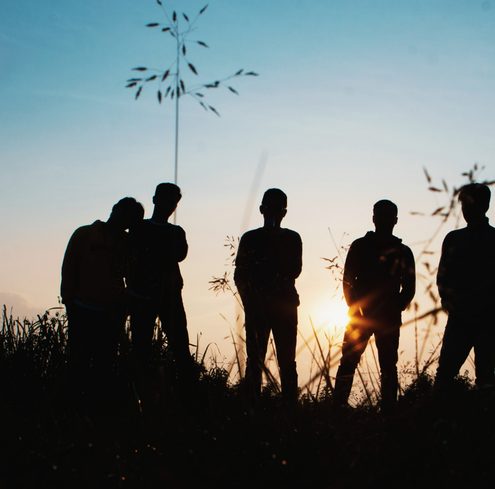Five people stand in silhouette on a grassy hill at sunset, with tall plants and a clear sky in the background.